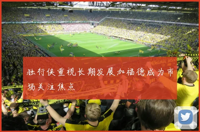 独行侠重视长期发展加福德成为市场关注焦点